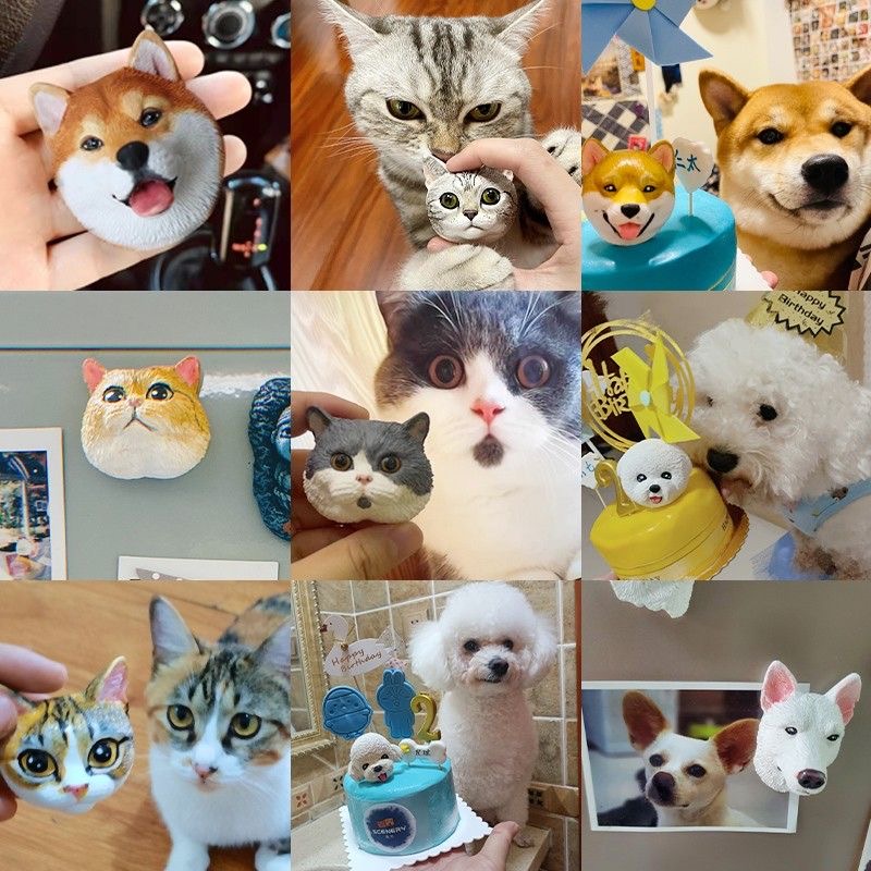 Custom 3D Pet Photo Jewelry Cu - Body Jewelry Ideas recension och pris