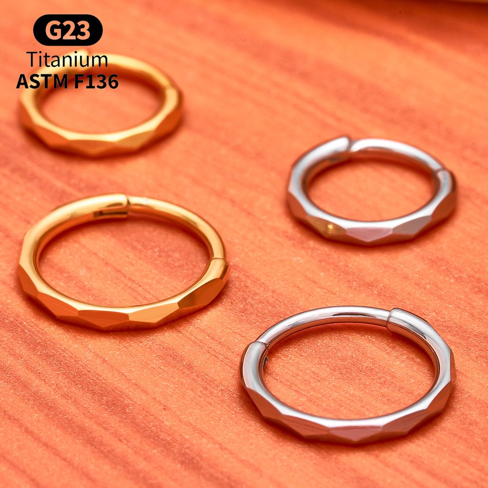 G23 Titanium Faceted CZ Hinged - Conch Earring Hoop recension och pris