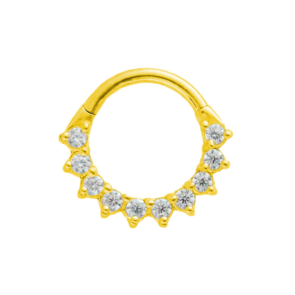 Trapezium CZ Septum 100%316L S - Conch Earring Hoop recension och pris