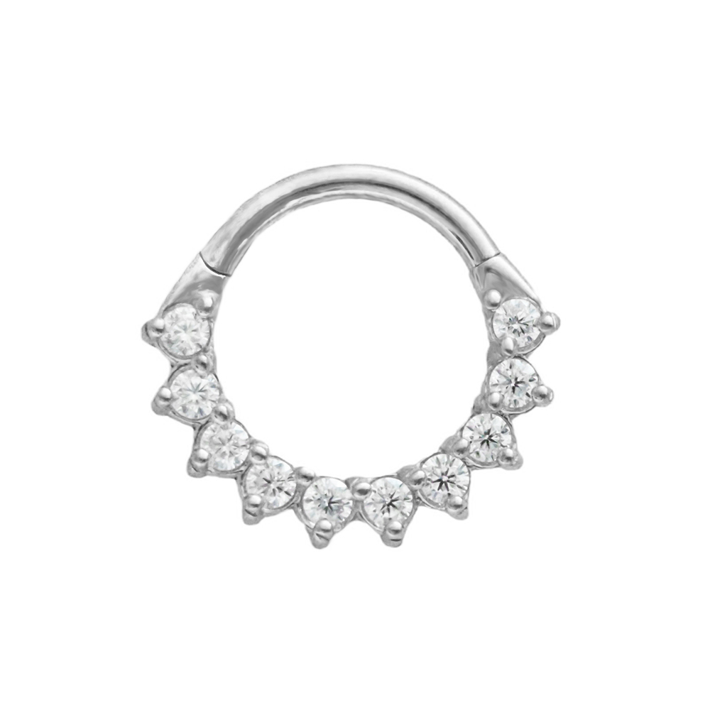 Trapezium CZ Septum 100%316L S - Conch Earring Hoop recension och pris